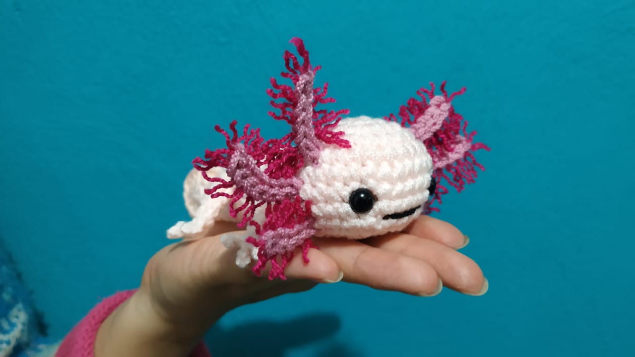 PDF with step-by-step instructions and photos to make an amigurumi axolotl.